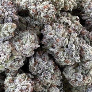 Double Fire Headband 5uds